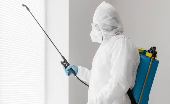 Fumigation pest control services Polokwane